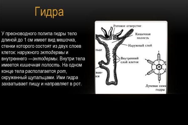 Почему не получается зайти на кракен